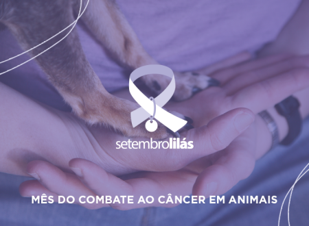 câncer em animais