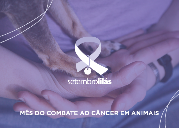 câncer em animais