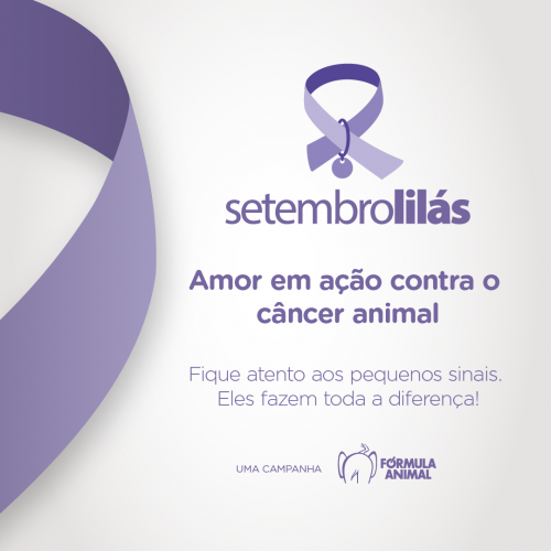 setembro lilas