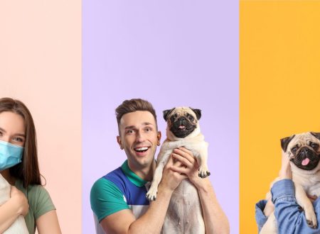 Cancer de pele em cachorro