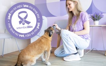 Mulher sorridente, vestindo camiseta lilás, oferece petisco a um cachorro de porte médio em um ambiente interno. Ao lado, um selo circular roxo da campanha Setembro Lilás traz a mensagem “me leva no vet, não só no pet!” e um laço lilás estilizado.